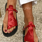 Sandalias de Dedo Efecto Cocodrilo con Tira y Hebilla en el Empeine